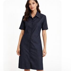 Cleo | Lux Button-Down Demin Shirt  Dress